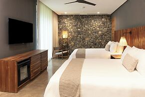 El Mangroove Papagayo, Autograph Collection