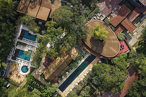 El Mangroove Papagayo, Autograph Collection