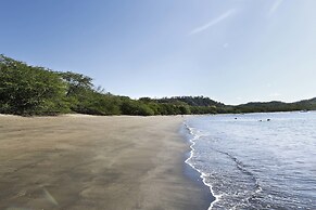 El Mangroove Papagayo, Autograph Collection