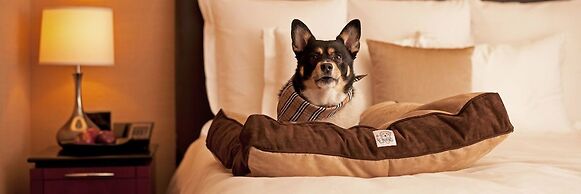 Hyatt Place Chicago-South/University Medical Center