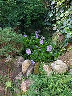 Recanto das Araucarias