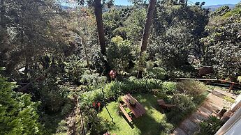 Recanto das Araucarias