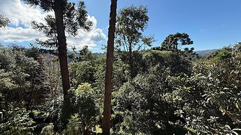 Recanto das Araucarias