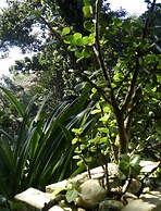 Recanto das Araucarias