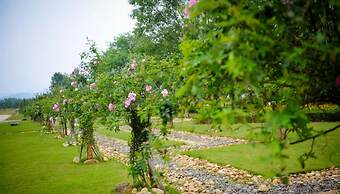 Flamingo Resort Dai Lai