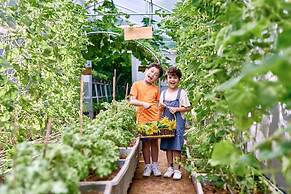 Flamingo Resort Dai Lai