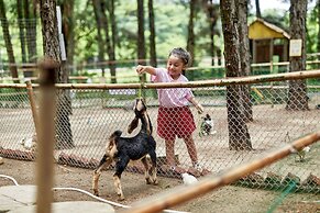 Flamingo Resort Dai Lai