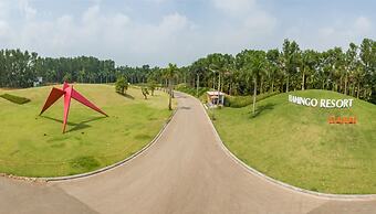 Flamingo Resort Dai Lai