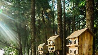 Flamingo Resort Dai Lai