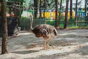 Flamingo Resort Dai Lai