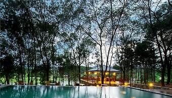 Flamingo Resort Dai Lai