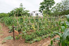 Flamingo Resort Dai Lai