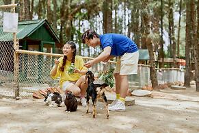 Flamingo Resort Dai Lai