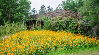 Flamingo Resort Dai Lai