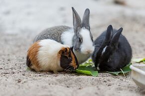 Flamingo Resort Dai Lai