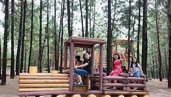 Flamingo Resort Dai Lai