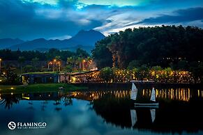 Flamingo Resort Dai Lai