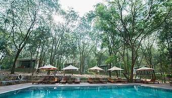 Flamingo Resort Dai Lai