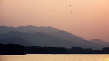 Flamingo Resort Dai Lai