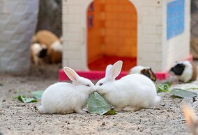 Flamingo Resort Dai Lai