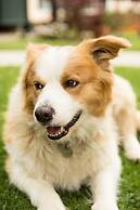 Paradise Hotel And Resort