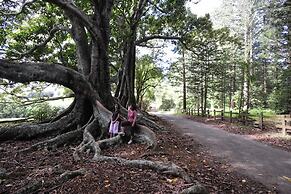 Paradise Hotel And Resort