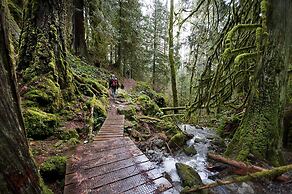 Birds of a Feather Victoria Oceanfront Studio Suites