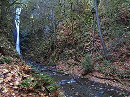 Birds of a Feather Victoria Oceanfront Studio Suites