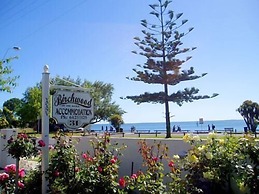 Birchwood on the River