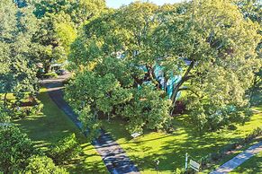 The Estate at Mount Dora