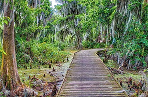 The Estate at Mount Dora