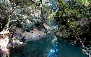Barrington Wilderness Cedar Lodge Accommodation
