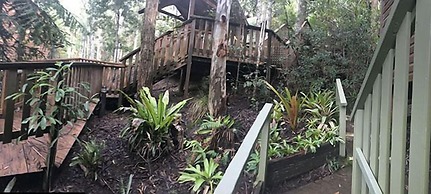 Barrington Wilderness Cedar Lodge Accommodation