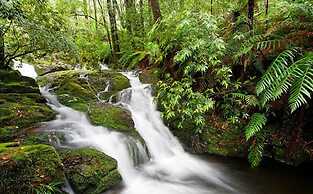 Barrington Wilderness Cedar Lodge Accommodation