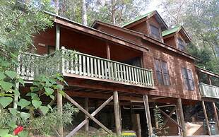 Barrington Wilderness Cedar Lodge Accommodation