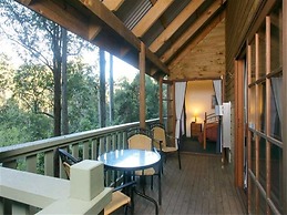 Barrington Wilderness Cedar Lodge Accommodation