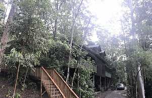 Barrington Wilderness Cedar Lodge Accommodation