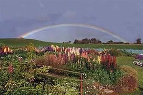 Boat Harbour Garden Cottages