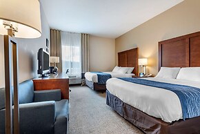 Comfort Inn Apalachin / Binghamton W Route 17