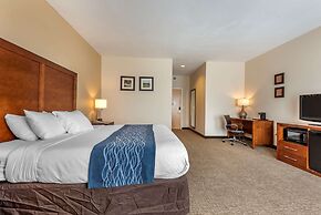 Comfort Inn Apalachin / Binghamton W Route 17