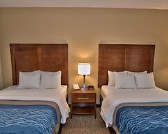 Comfort Inn Apalachin / Binghamton W Route 17