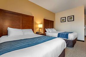 Comfort Inn Apalachin / Binghamton W Route 17
