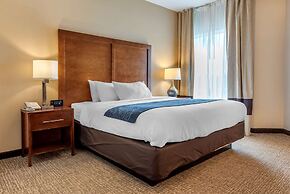 Comfort Inn Apalachin / Binghamton W Route 17