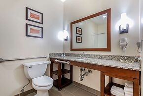 Comfort Inn Apalachin / Binghamton W Route 17