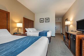 Comfort Inn Apalachin / Binghamton W Route 17