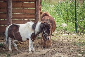 Tatragolf Mountain Resort