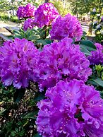 The Chalet Guesthouse and Studio