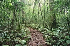 Goomburra Forest Retreat