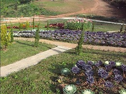 Phu Mok Dok Mai Resort