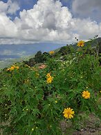 Phu Mok Dok Mai Resort